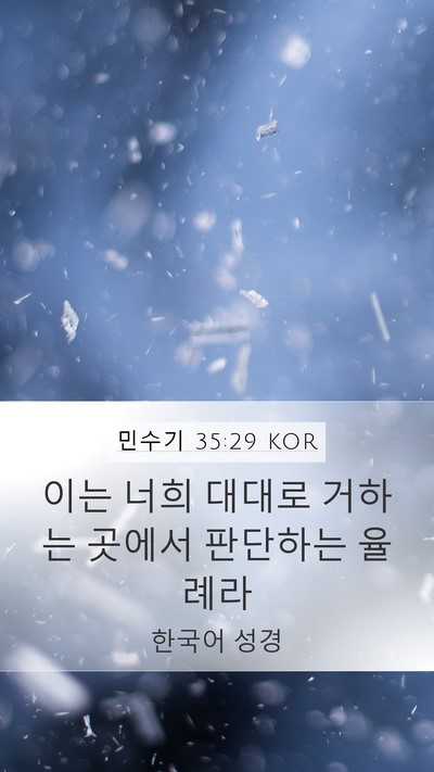 민수기 35:29 KOR Bible Verse Image