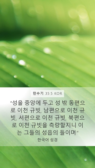 민수기 35:5 KOR Mobile Phone Wallpaper - 