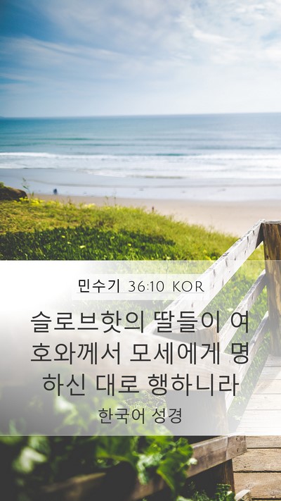 민수기 36:10 KOR Bible Verse Image