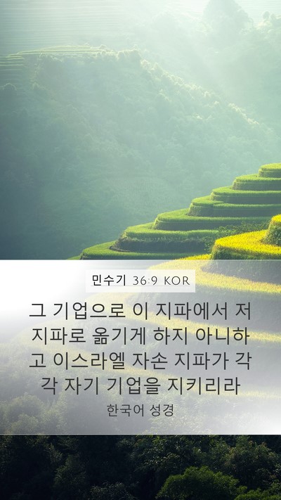 민수기 36:9 KOR Bible Verse Image