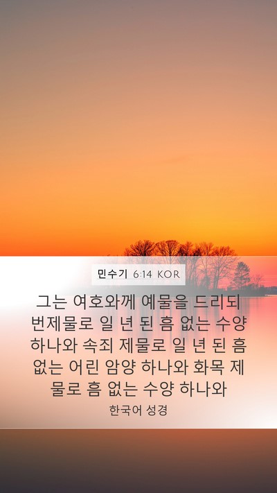 민수기 6:14 KOR Bible Verse Image