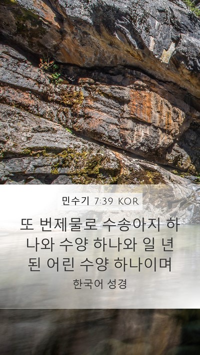 민수기 7:39 KOR Mobile Phone Wallpaper - 또 번제물로 수송아지 하나와 수양 - Mobile Bible Verse Wallpaper