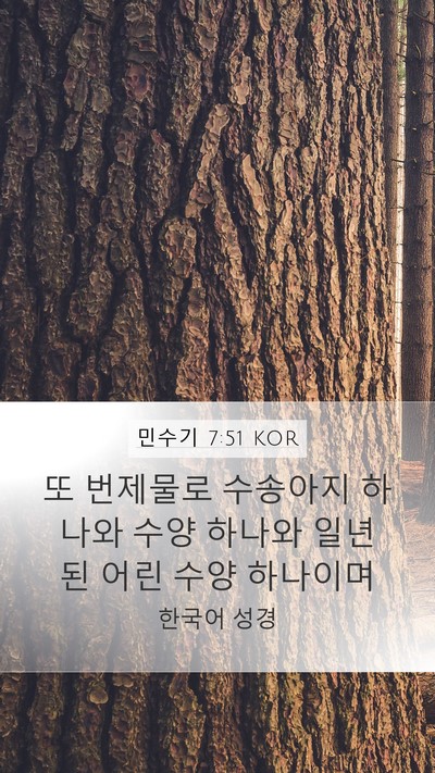민수기 7:51 KOR Mobile Phone Wallpaper - 또 번제물로 수송아지 하나와 수양 - Mobile Bible Verse Wallpaper