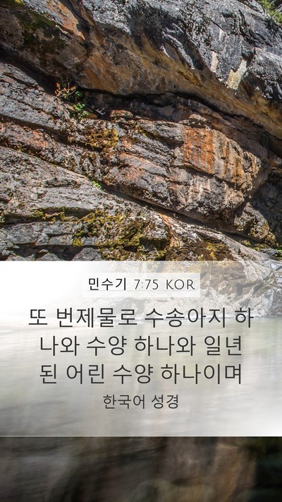 민수기 7:75 KOR Mobile Phone Wallpaper - 또 번제물로 수송아지 하나와 수양 - Mobile Bible Verse Wallpaper