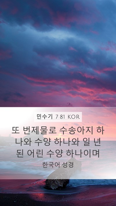 민수기 7:81 KOR Mobile Phone Wallpaper - 또 번제물로 수송아지 하나와 수양 - Mobile Bible Verse Wallpaper