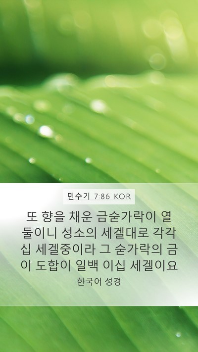 민수기 7:86 KOR Bible Verse Image