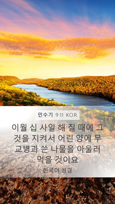 민수기 9:11 KOR Bible Verse Image