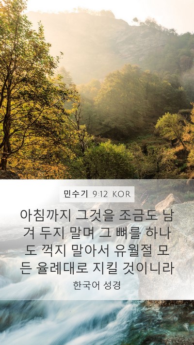 민수기 9:12 KOR Mobile Phone Wallpaper - 아침까지 그것을 조금도 남겨 두지 - Mobile Bible Verse Wallpaper