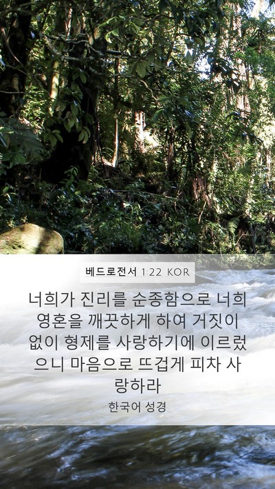 베드로전서 1:22 KOR Bible Verse Image
