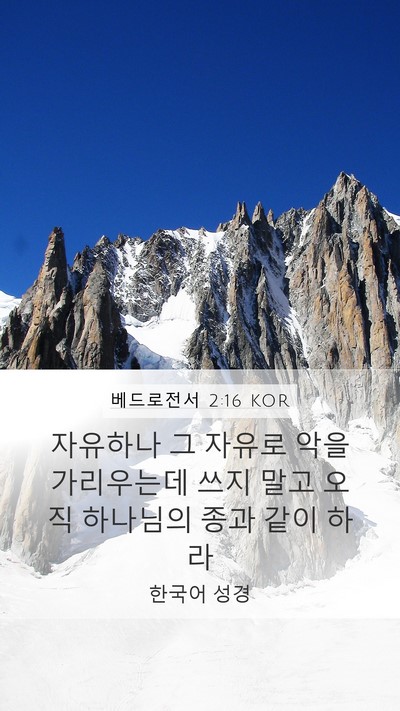 베드로전서 2:16 KOR Bible Verse Image