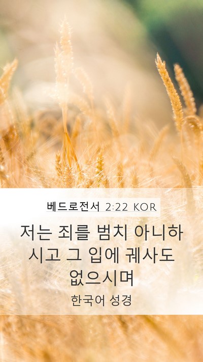 베드로전서 2:22 KOR Bible Verse Image
