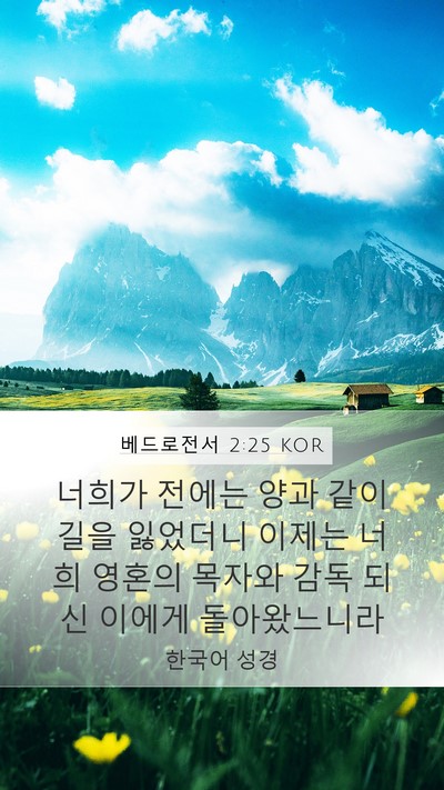 베드로전서 2:25 KOR Bible Verse Image