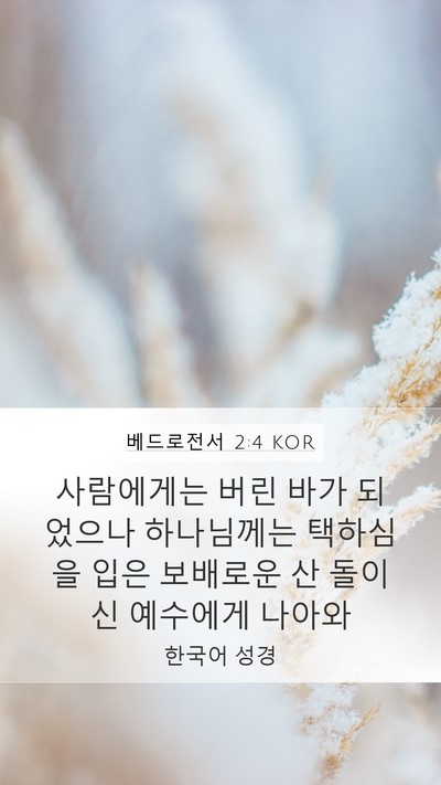 베드로전서 2:4 KOR Bible Verse Image