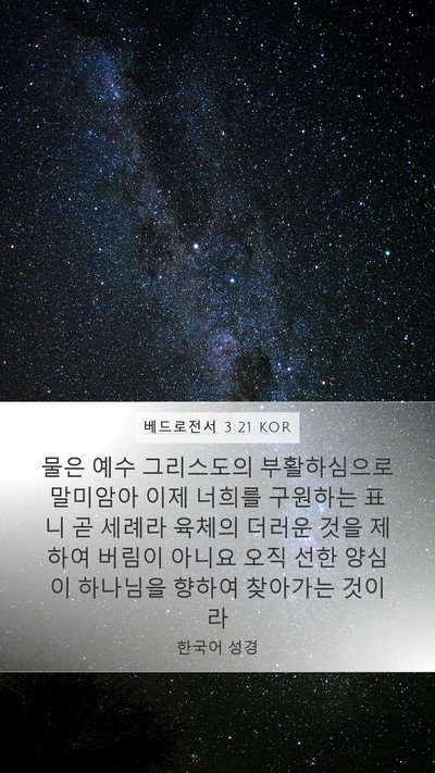 베드로전서 3:21 KOR Bible Verse Image