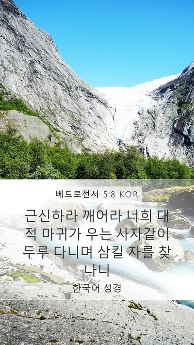 베드로전서 5:8 KOR Bible Verse Image