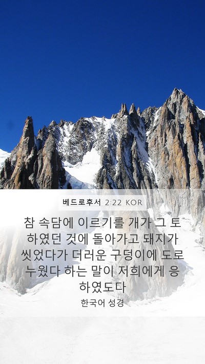 베드로후서 2:22 KOR Bible Verse Image