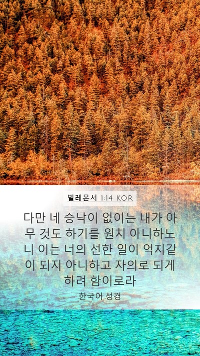 빌레몬서 1:14 KOR Mobile Phone Wallpaper - 다만 네 승낙이 없이는 내가 아무 - Mobile Bible Verse Wallpaper