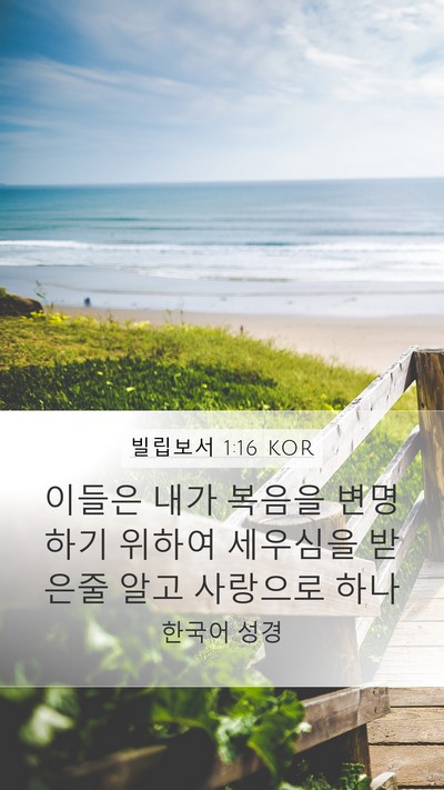 빌립보서 1:16 KOR Bible Verse Image