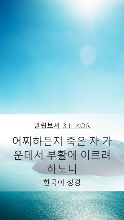 빌립보서 3:11 KOR Bible Verse Image