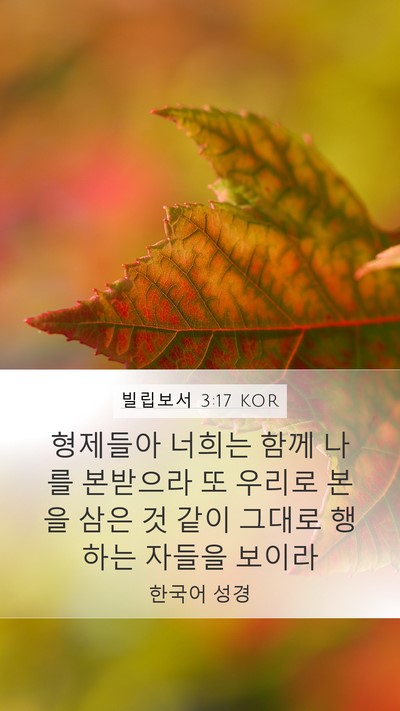 빌립보서 3:17 KOR Bible Verse Image