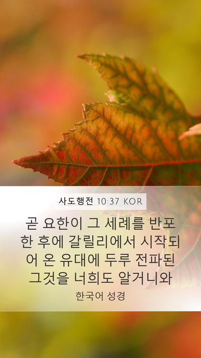 사도행전 10:37 KOR Bible Verse Image