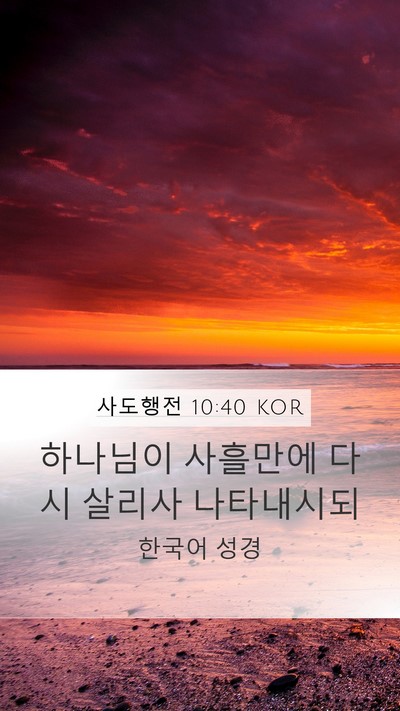 사도행전 10:40 KOR Bible Verse Image
