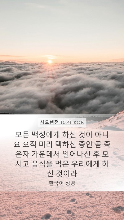 사도행전 10:41 KOR Bible Verse Image