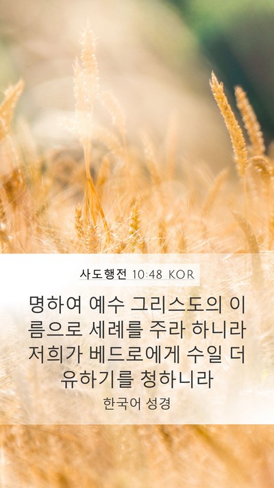 사도행전 10:48 KOR Mobile Phone Wallpaper - 명하여 예수 그리스도의 이름으로 - Mobile Bible Verse Wallpaper