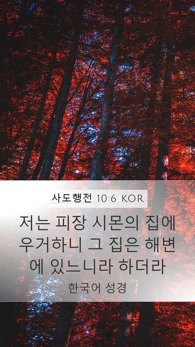 사도행전 10:6 KOR Bible Verse Image
