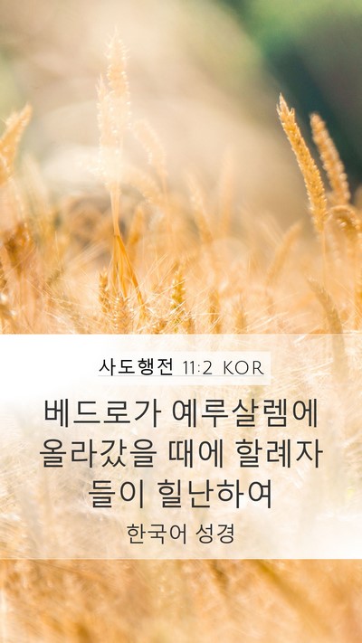 사도행전 11:2 KOR Bible Verse Image