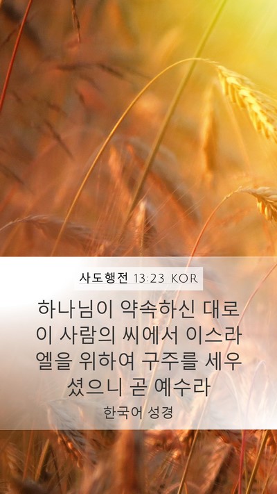 사도행전 13:23 KOR Bible Verse Image