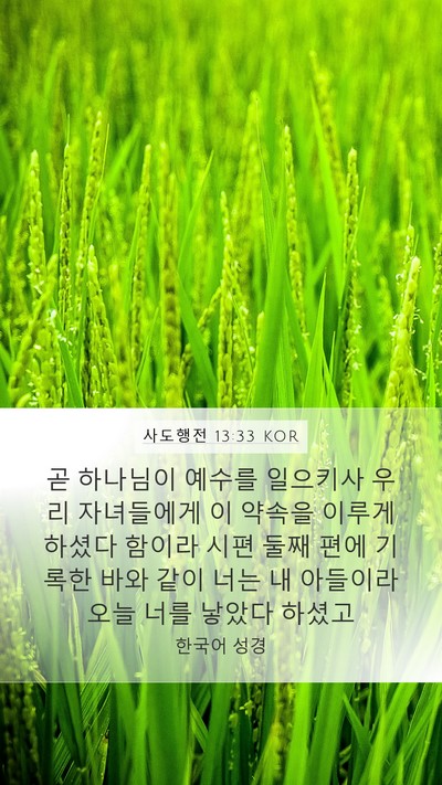 사도행전 13:33 KOR Bible Verse Image