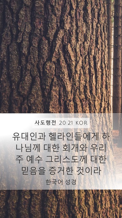 사도행전 20:21 KOR Bible Verse Image