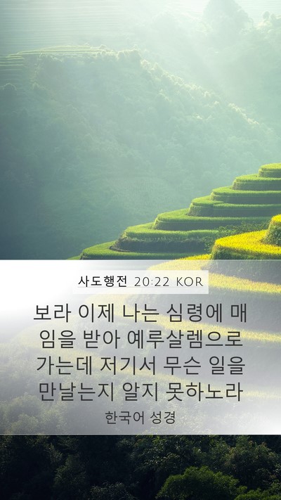 사도행전 20:22 KOR Bible Verse Image