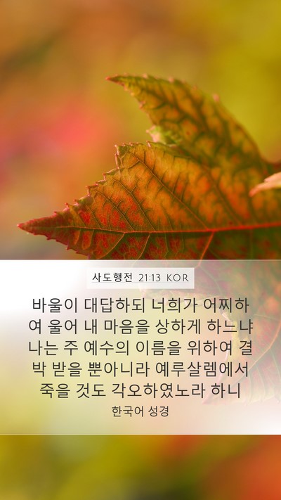 사도행전 21:13 KOR Bible Verse Image