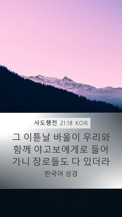 사도행전 21:18 KOR Bible Verse Image