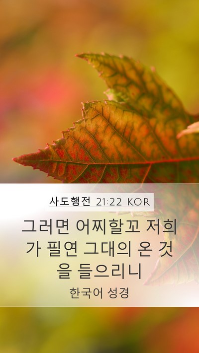 사도행전 21:22 KOR Bible Verse Image