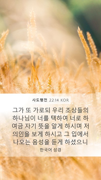 사도행전 22:14 KOR Bible Verse Image