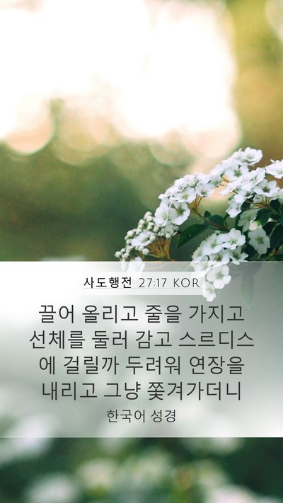 사도행전 27:17 KOR Bible Verse Image
