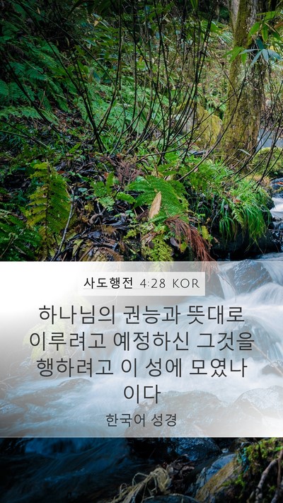 사도행전 4:28 KOR Bible Verse Image