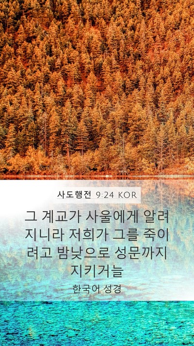 사도행전 9:24 KOR Bible Verse Image