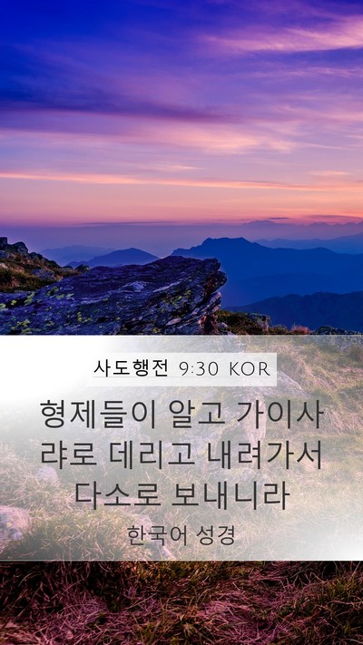 사도행전 9:30 KOR Bible Verse Image