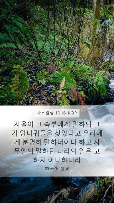 사무엘상 10:16 KOR Bible Verse Image