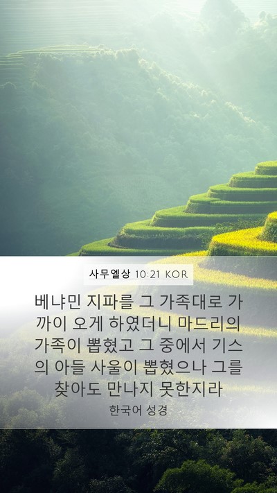 사무엘상 10:21 KOR Mobile Phone Wallpaper - 베냐민 지파를 그 가족대로 가까이 - Mobile Bible Verse Wallpaper