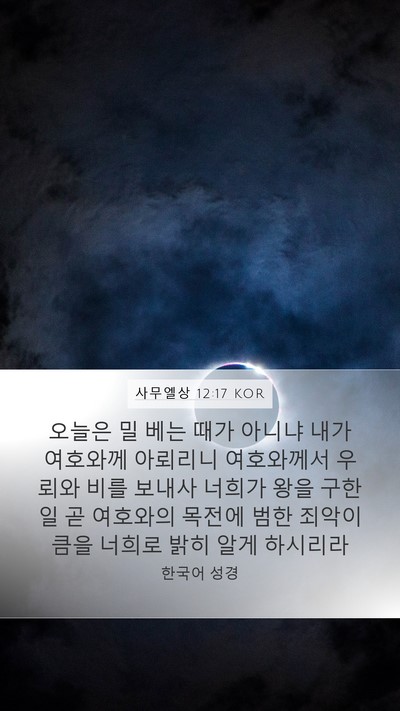 사무엘상 12:17 KOR Bible Verse Image