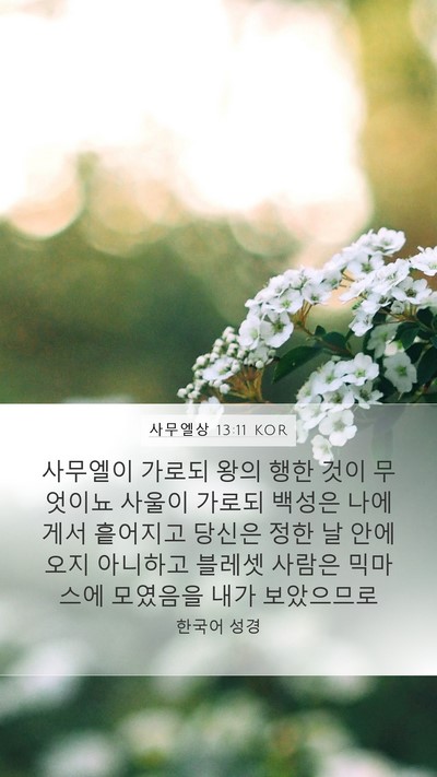 사무엘상 13:11 KOR Bible Verse Image