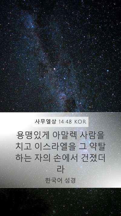 사무엘상 14:48 KOR Bible Verse Image