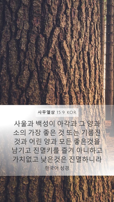 사무엘상 15:9 KOR Bible Verse Image