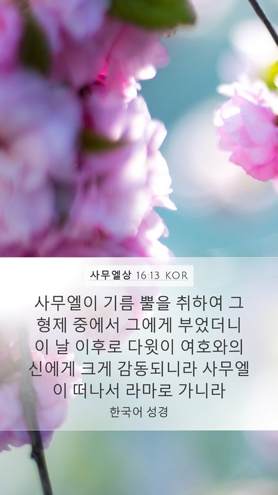 사무엘상 16:13 KOR Bible Verse Image