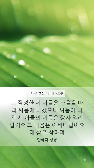 사무엘상 17:13 KOR Bible Verse Image